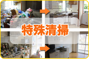 特殊清掃