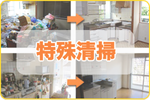 特殊清掃