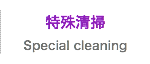 特殊清掃